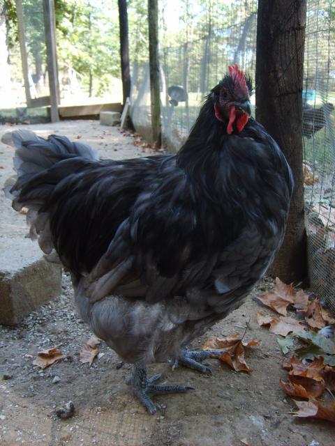 31282_8-30-10_orps_039.jpg