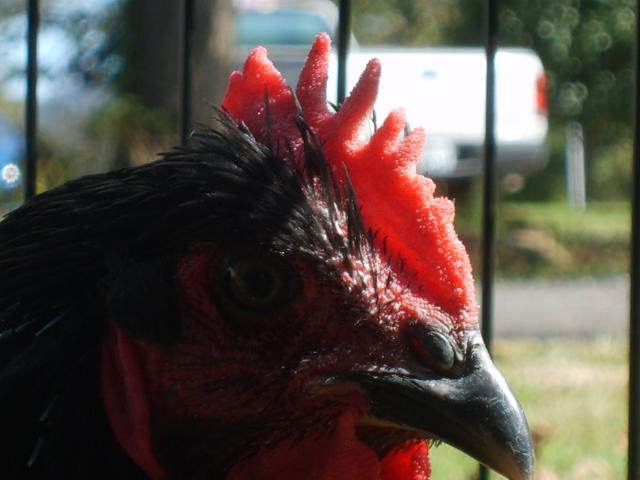 31282_9-05-10_596.jpg