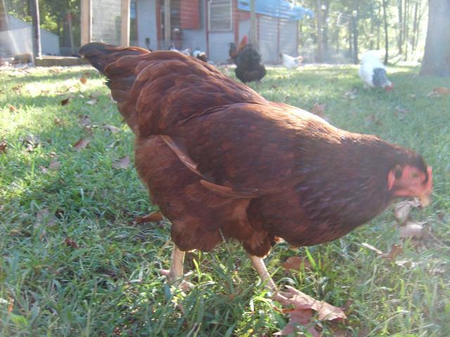 31282_9-11-10_misc_061.jpg