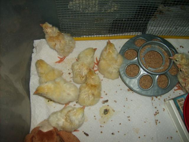 31282_9-16-10_034.jpg