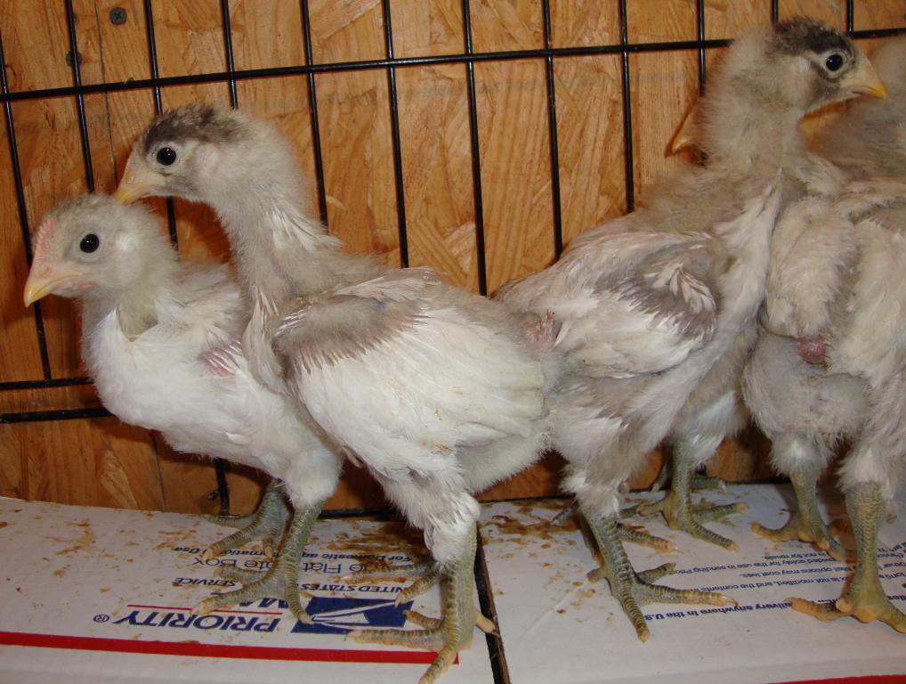 31282_9-17-2011misc018.jpg