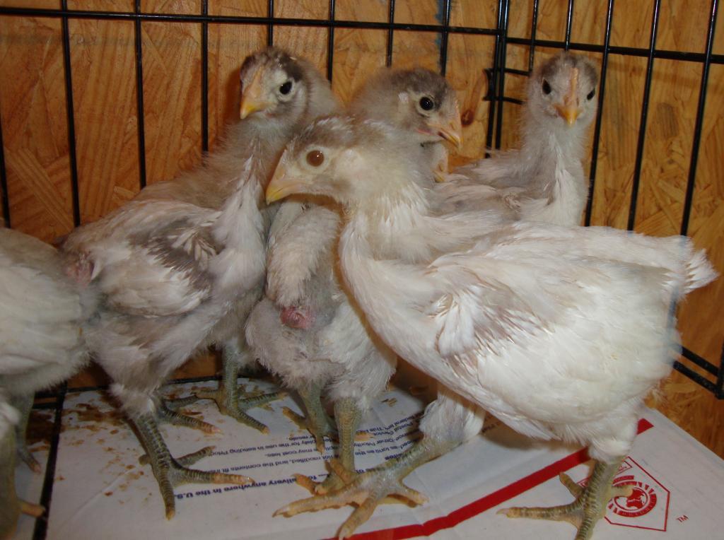 31282_9-17-2011misc019.jpg