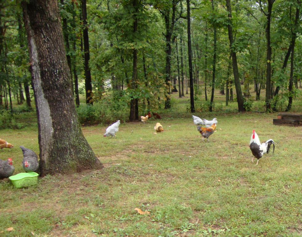 31282_9-17-2011misc092.jpg