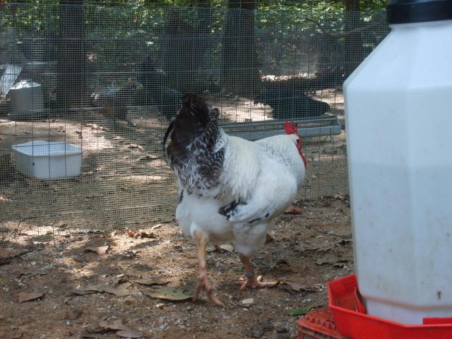 31282_9-18-10_026.jpg
