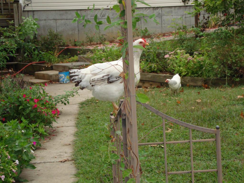 31282_9-18-2011misc001.jpg
