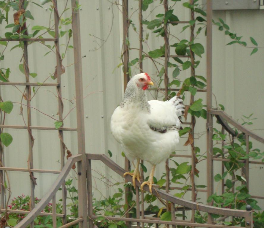31282_9-18-2011misc002.jpg
