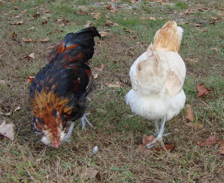 31282_9-19-2011m015.jpg