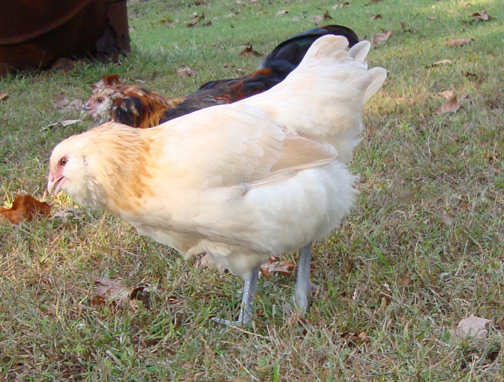 31282_9-19-2011m019.jpg