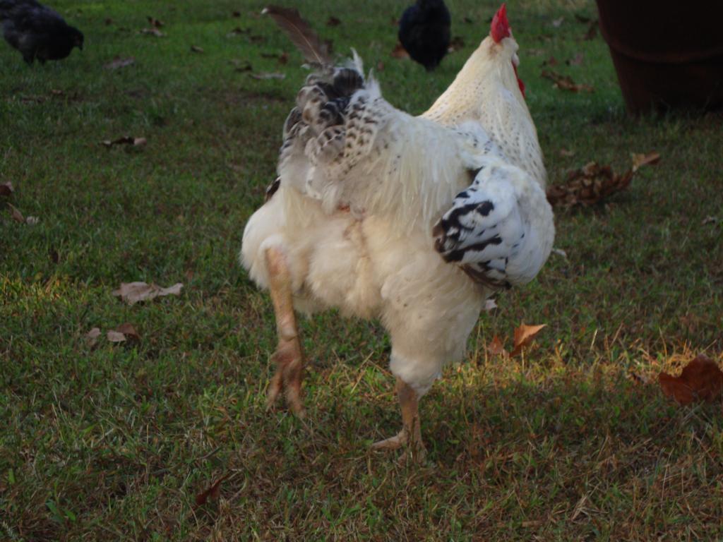 31282_9-19-2011m024.jpg