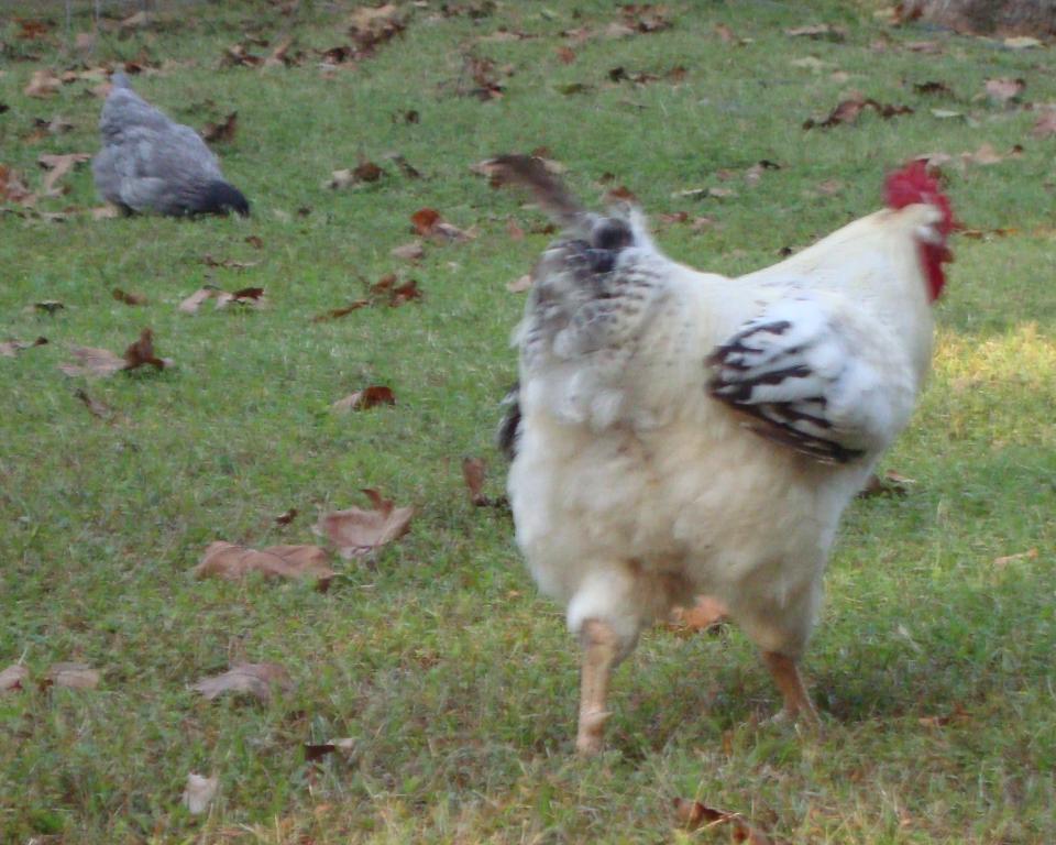 31282_9-19-2011m025.jpg