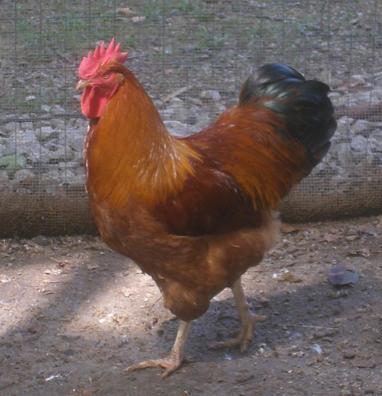 31282_9-21-2011m006.jpg