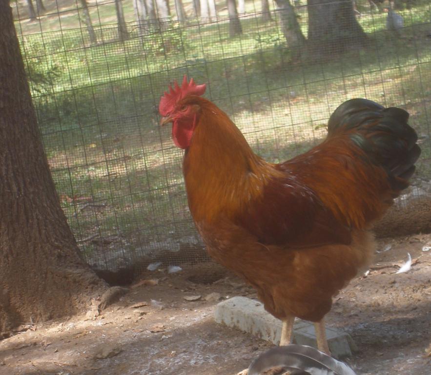 31282_9-21-2011m010.jpg