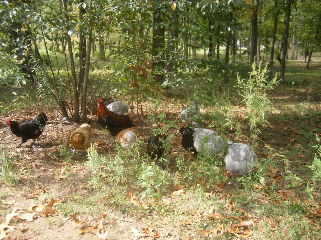 31282_9-21-2011m025.jpg