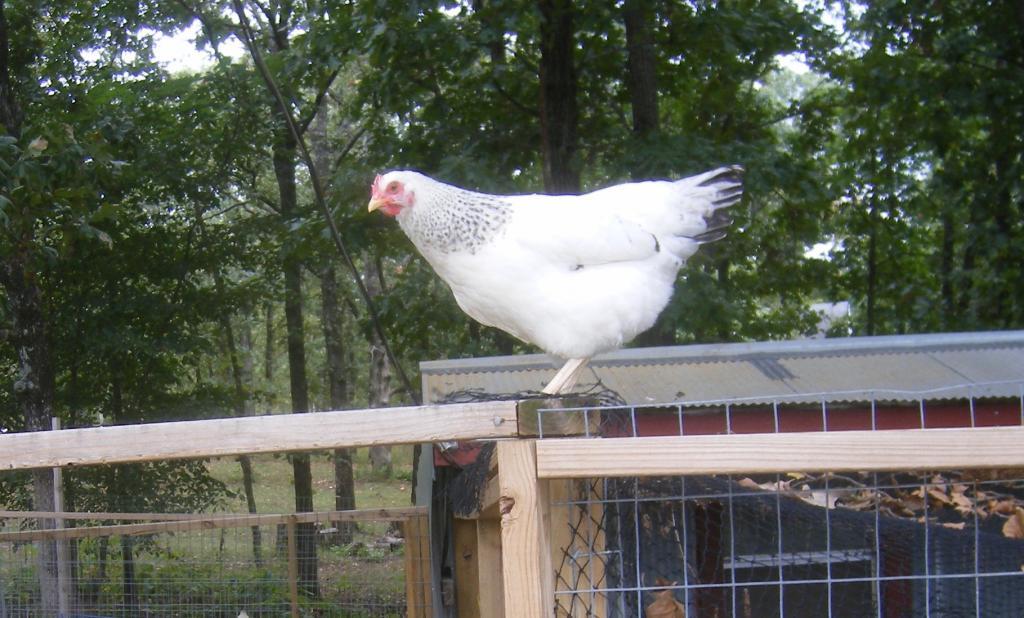 31282_9-21-2011m061.jpg