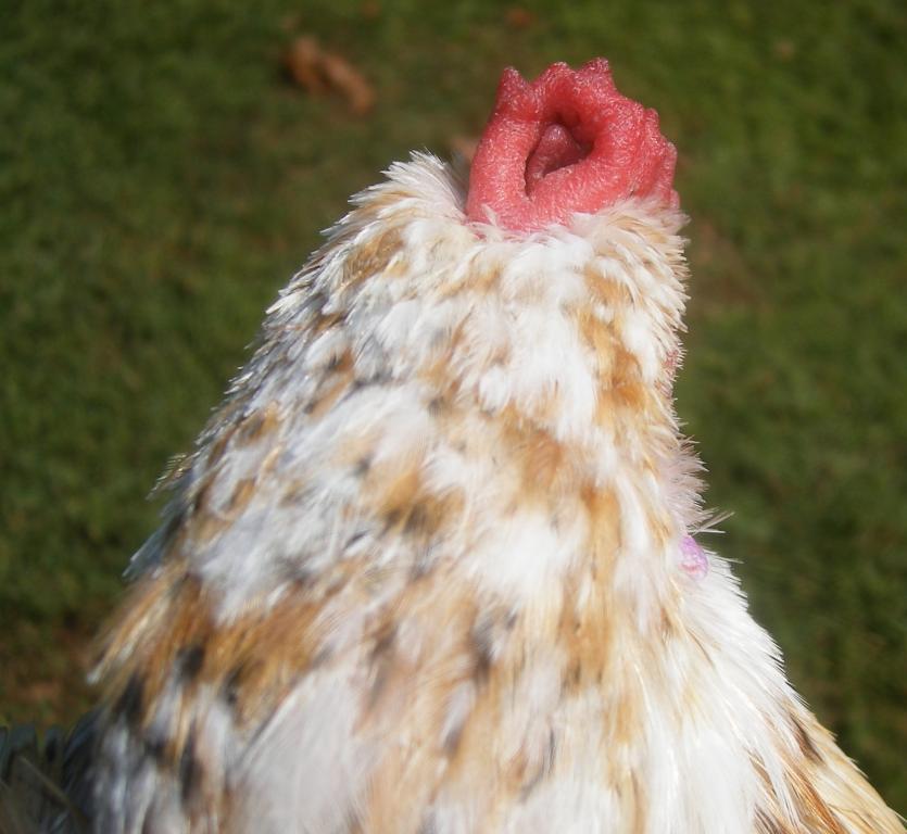 31282_9-23-2011011.jpg