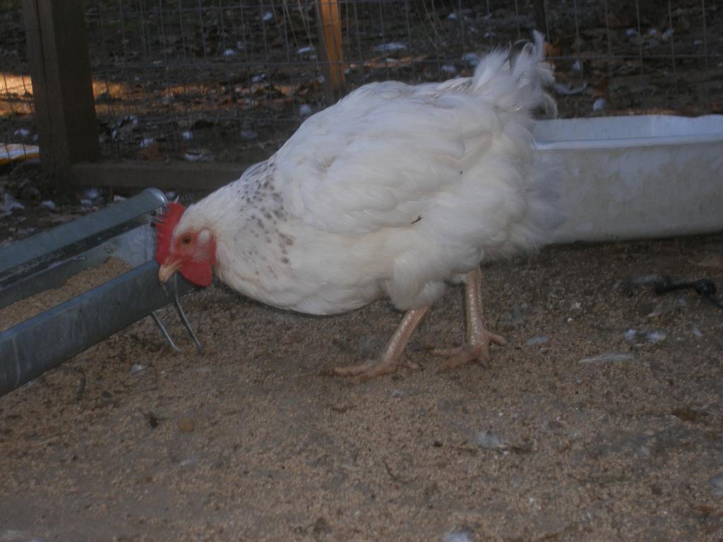31282_9-26-2011mis048.jpg