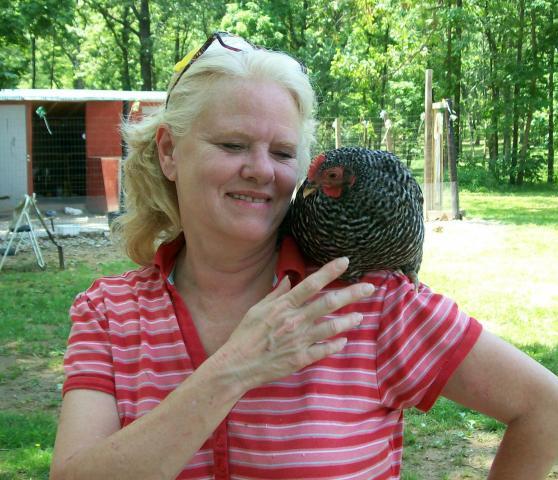 31282_chicken_kiss_2.jpg
