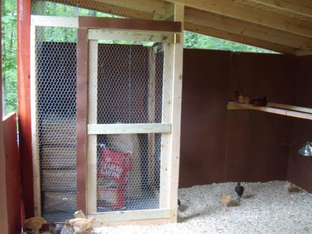 31282_my_chicken_coop_083.jpg