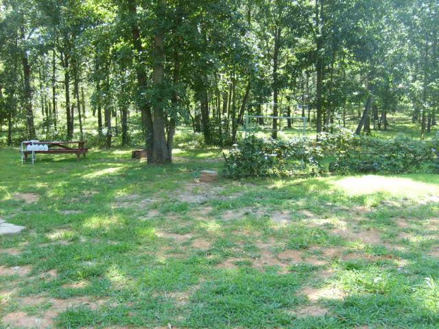 31282_sd530225.jpg