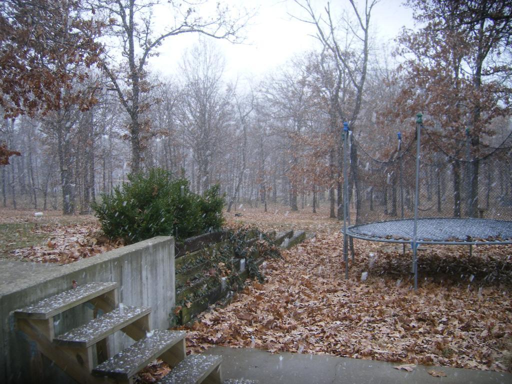 31282_snowing001.jpg