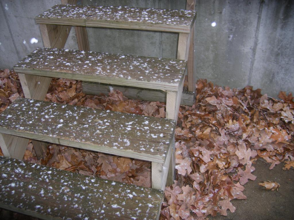 31282_snowing004.jpg