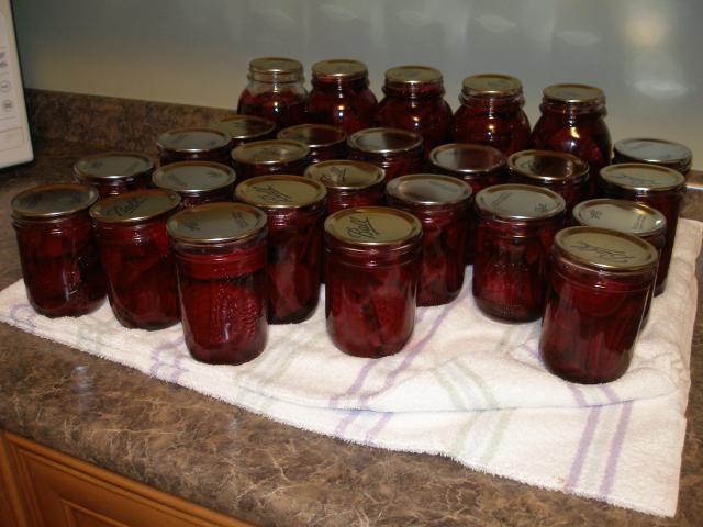 31358_beets_2010_010.jpg