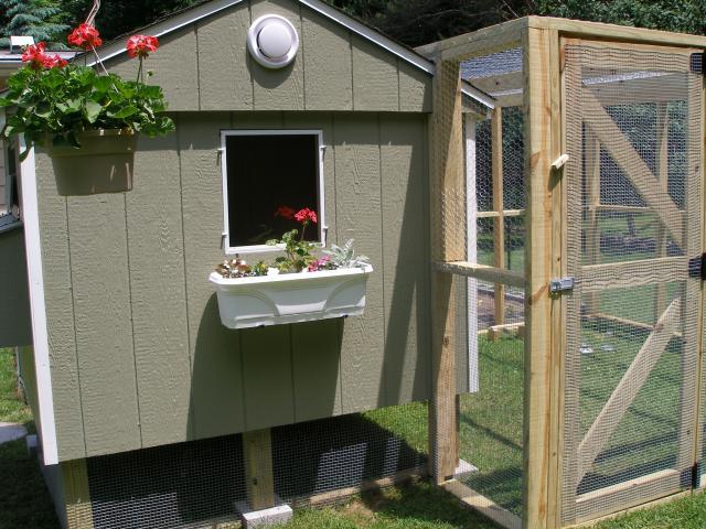 31358_chickens_coop_020.jpg
