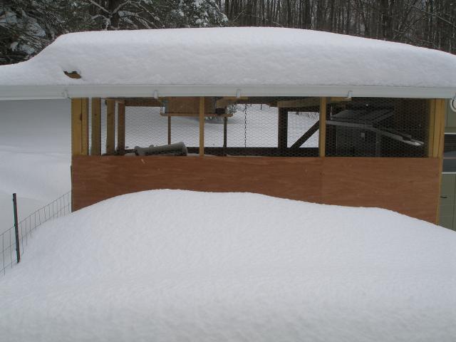31358_february_snow_008.jpg
