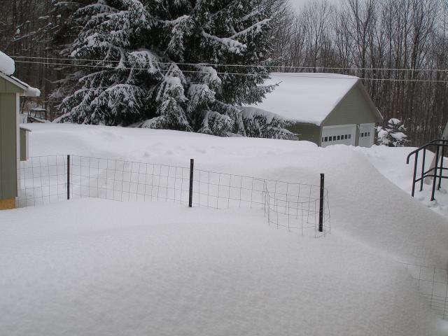 31358_february_snow_009.jpg