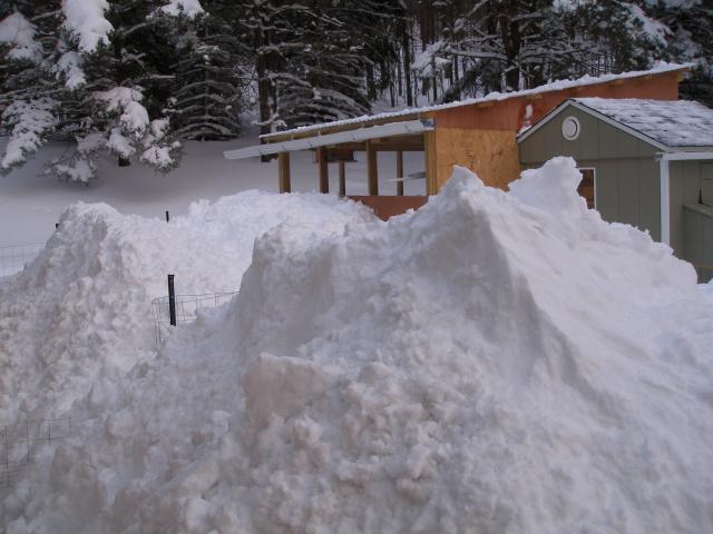 31358_february_snow_013.jpg