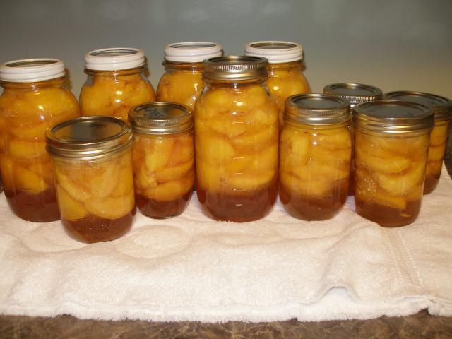 31358_peaches01.jpg