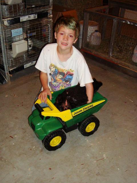 31399_austinandbruiserslastride.jpg