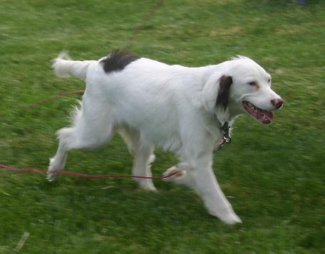 31399_maddie2007_1.jpg