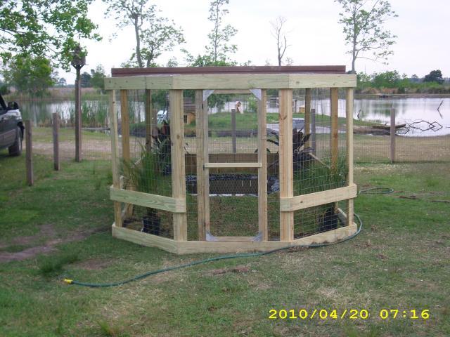 31409_dsci0834.jpg