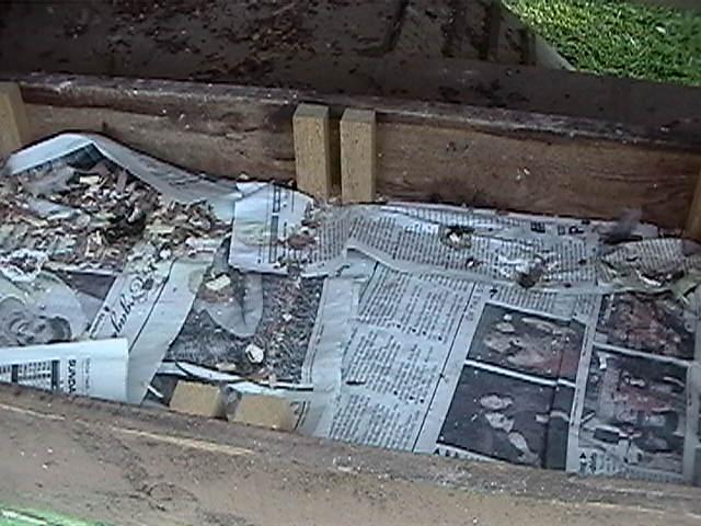 31487_coop_pics_013.jpg