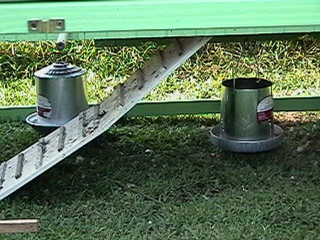 31487_coop_pics_022.jpg