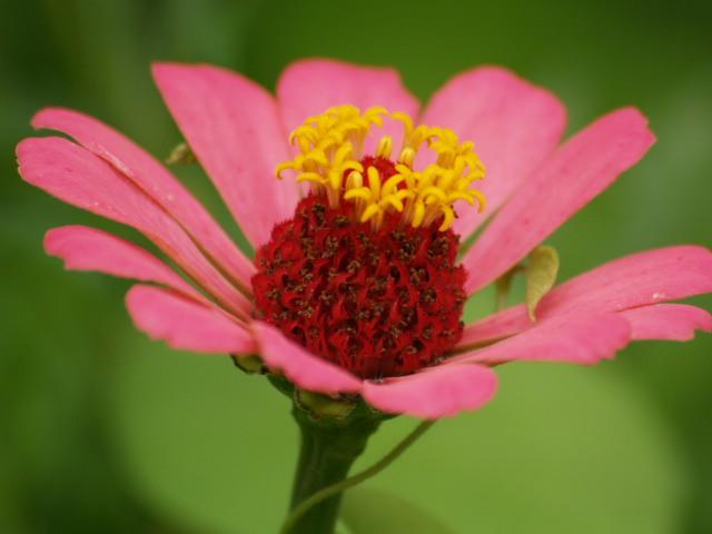 314_p8110328.jpg