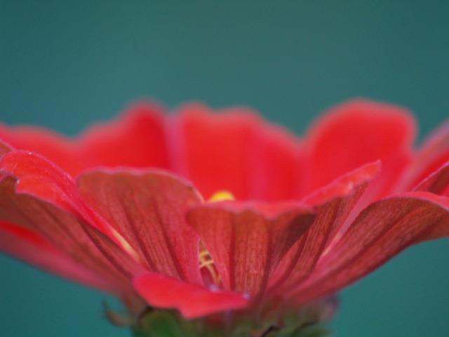 314_p9021104.jpg