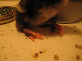31658_img_9298.jpg