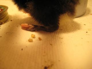 31658_img_9301.jpg