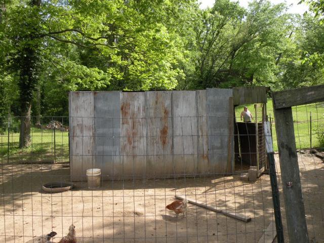 31671_007.jpg