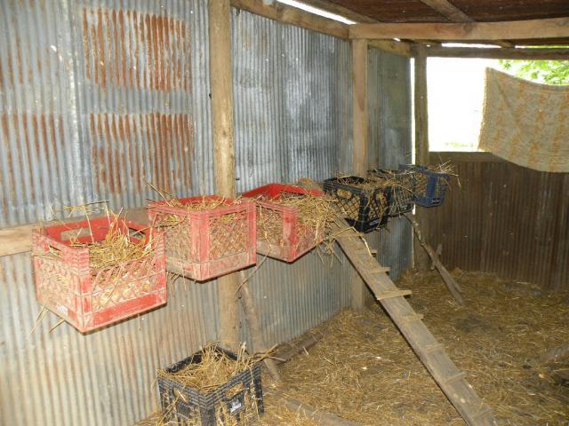 31671_009.jpg