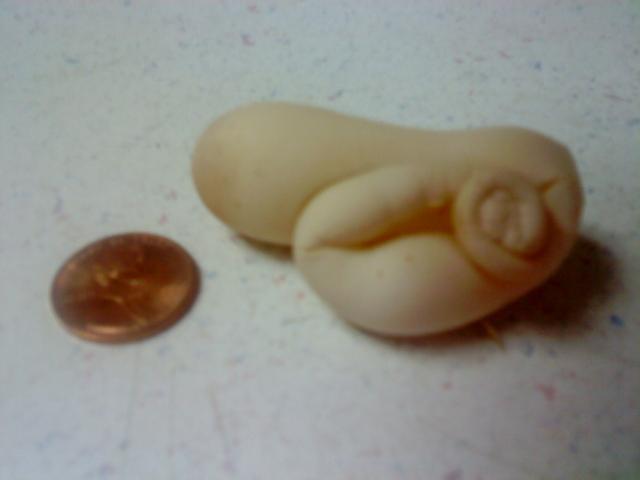 31676_funky_egg.jpg
