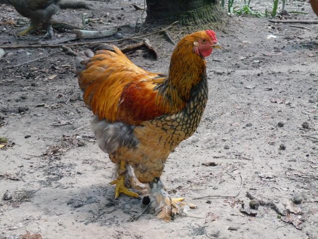 31698_p1020352.jpg