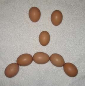 31758_omlets_eggs_2.jpg
