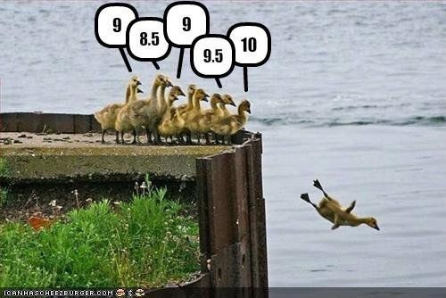 31788_duck_jumping.jpg