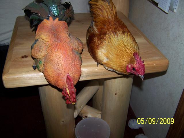 31956_misc5-9-09_020.jpg