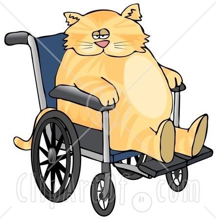31967_6323-chubby-orange-cat-sitting-in-a-wheelchair-in-a-hospital-clipart-picture.jpg