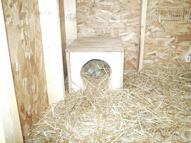 32027_nesting_box_1.jpg