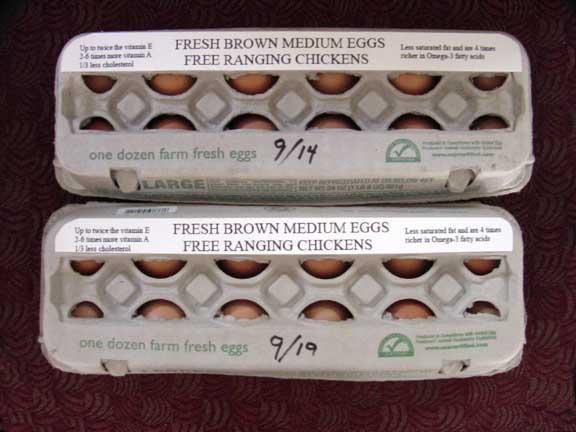 32069_firsttwodozen.jpg